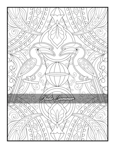 100 Amazing Patterns: An Adult Coloring Book with Fun, Easy, and Relaxing Coloring Pages