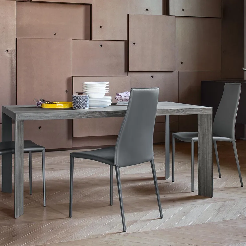 QUICK SHIP | aida dining chair | Calligaris